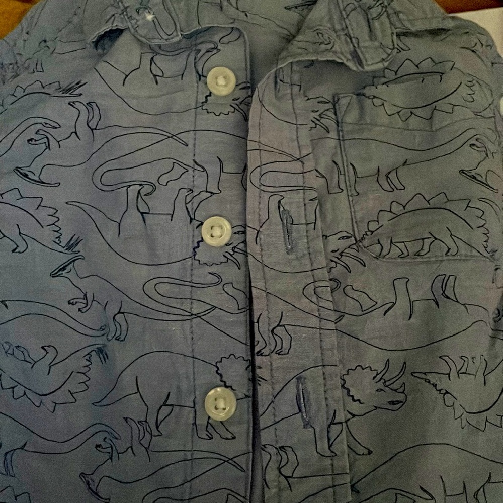 The children place 18-24 mth  blue with dinosaurs prints  long sleeve button